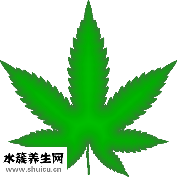 鹽酸氨溴索