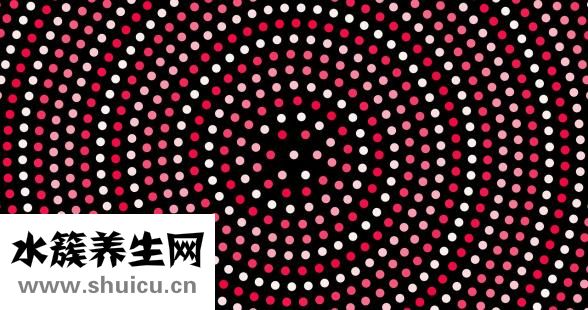 爬樓梯能減肥嗎