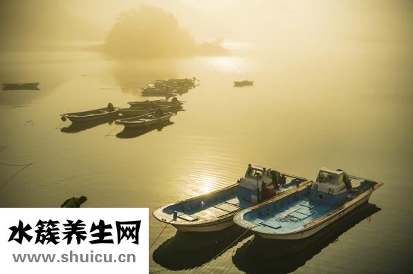 海參多少錢一斤