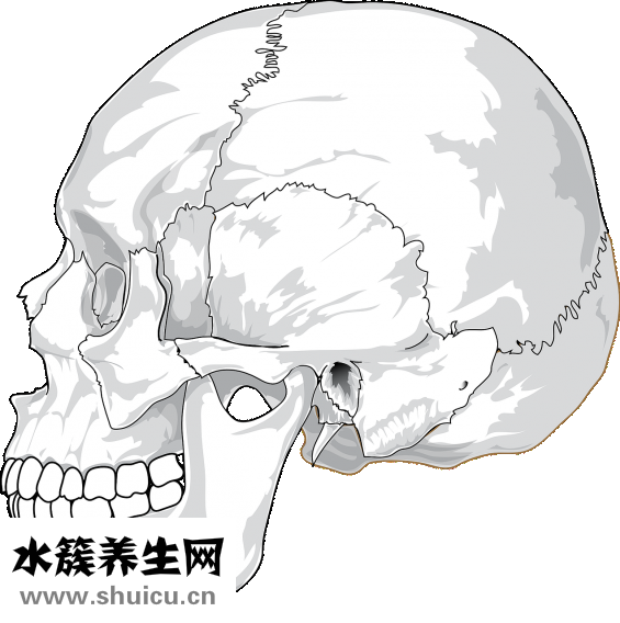 非甾體類抗炎藥