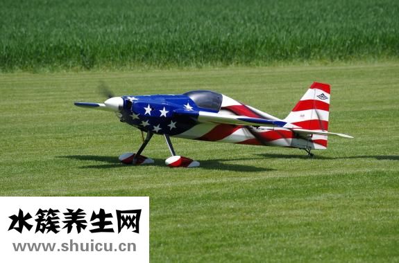 多磺酸粘多糖乳膏