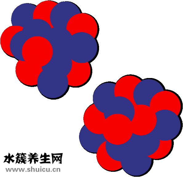 呈味核苷酸二鈉