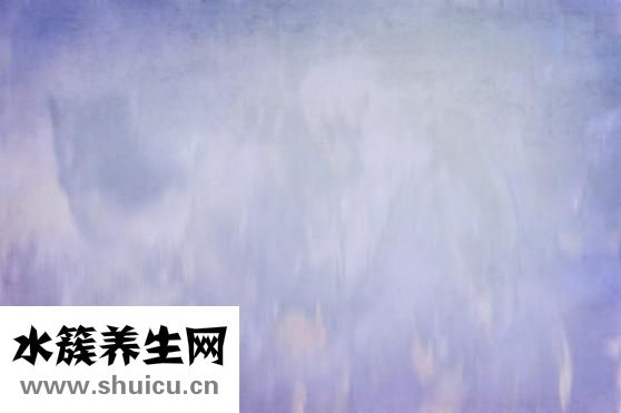 薏苡仁的功效與作用