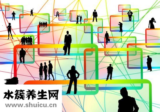 地骨皮的功效與作用