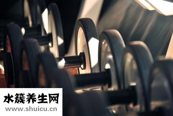 含鋅高的食物有哪些