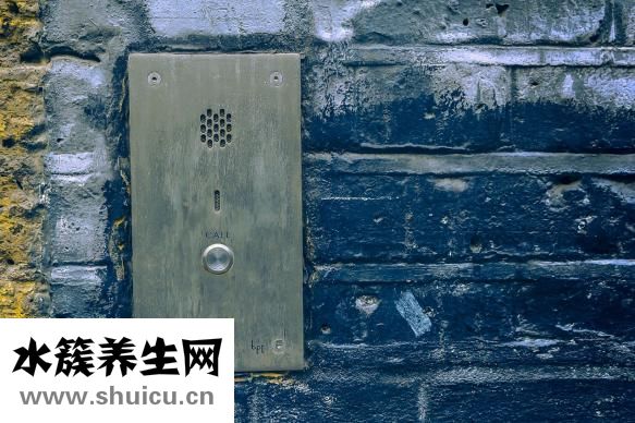 下肢靜脈曲張圖片