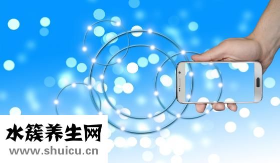 手抓餅的制作方法