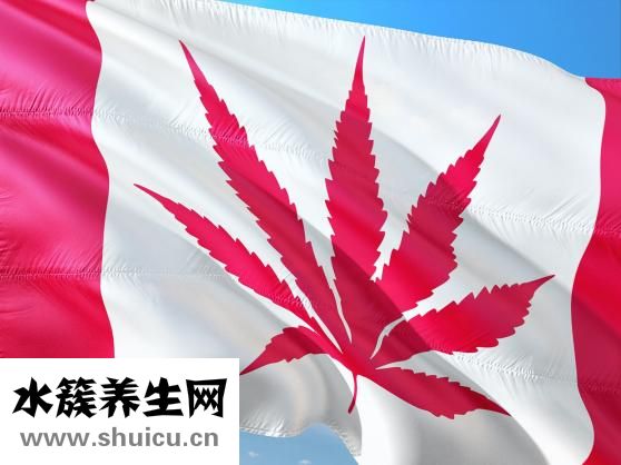 心臟不好怎么治