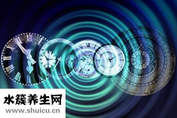 壽司可以放多久