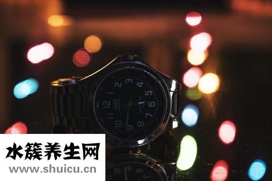 壽司可以放多久