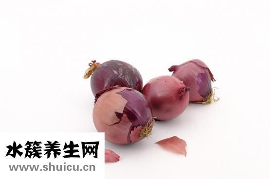 一塊披薩的熱量