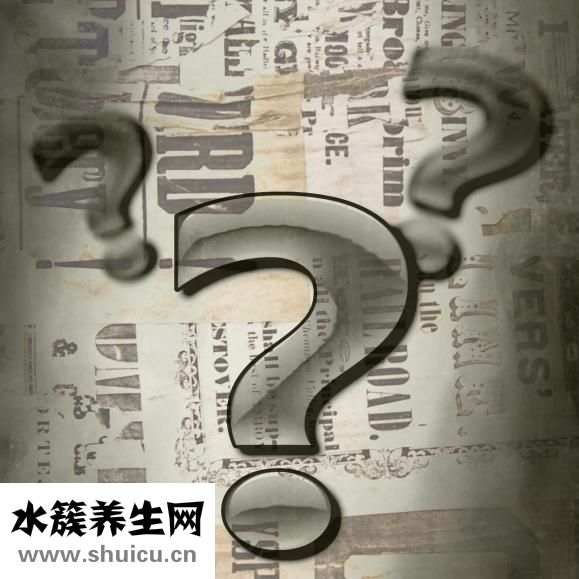 什么茶可以長期喝