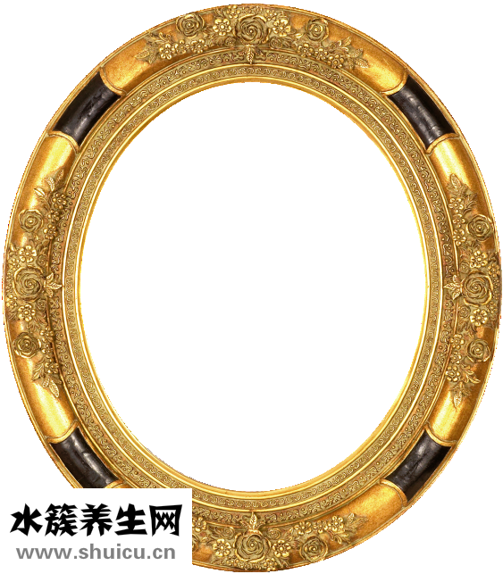 五苓散的功效與作用