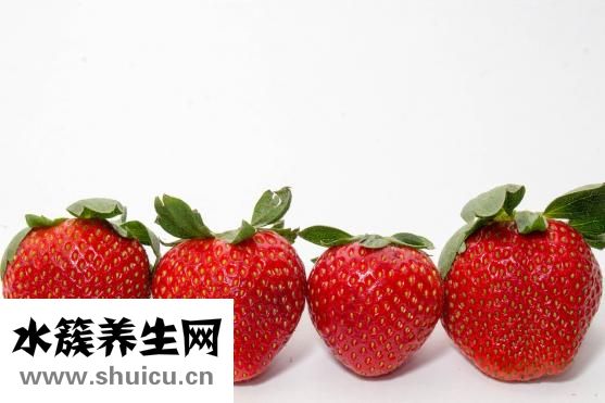 一斤草莓多少錢