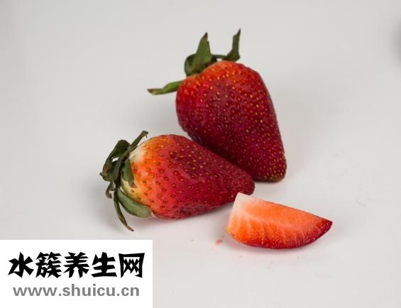 一斤草莓多少錢