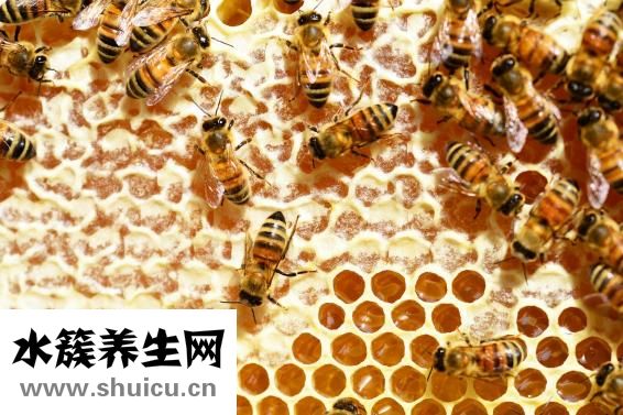 咳嗽能喝蜂蜜嗎