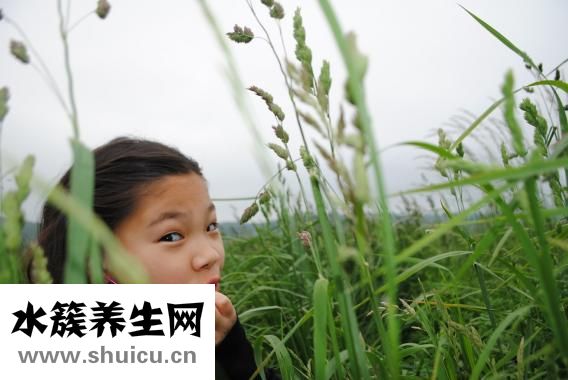 愈酚甲麻那敏顆粒