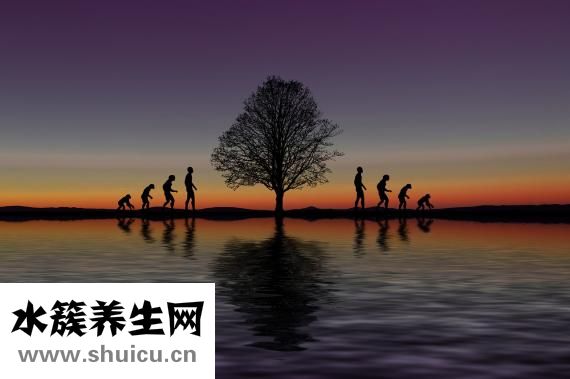 山藥是不是發(fā)物