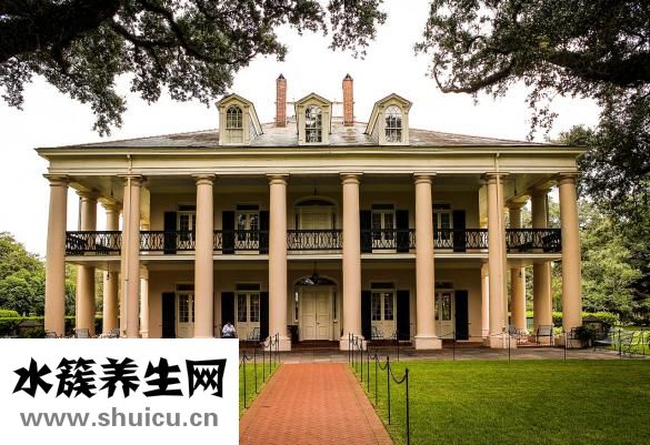 新奧爾良炸雞翅