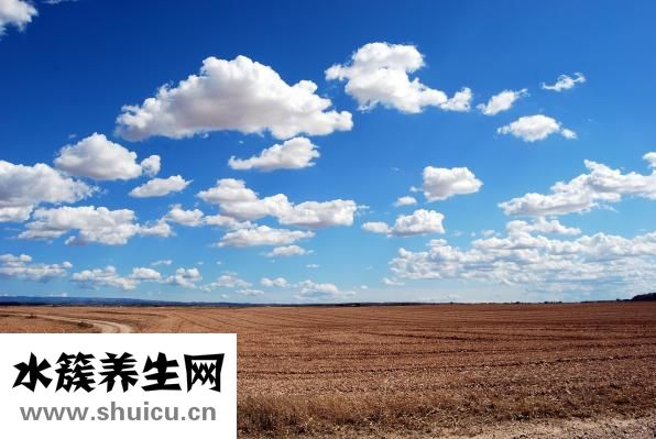 嬰兒抽搐癥狀表現