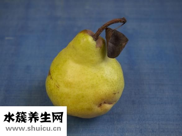 含硒元素的食物