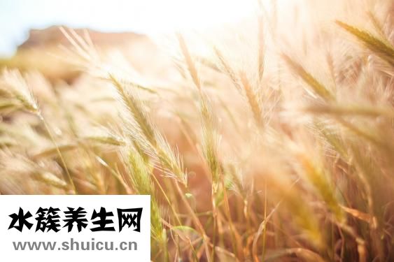 山楂加什么瘦得快