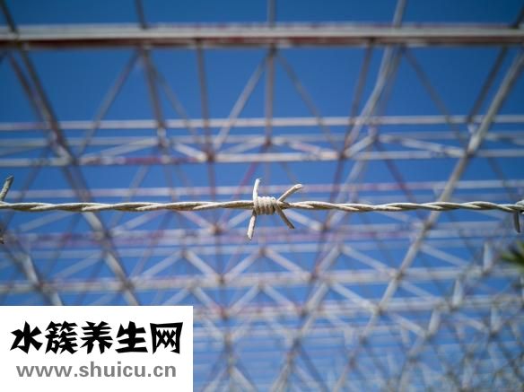 什么是子宮腺肌癥