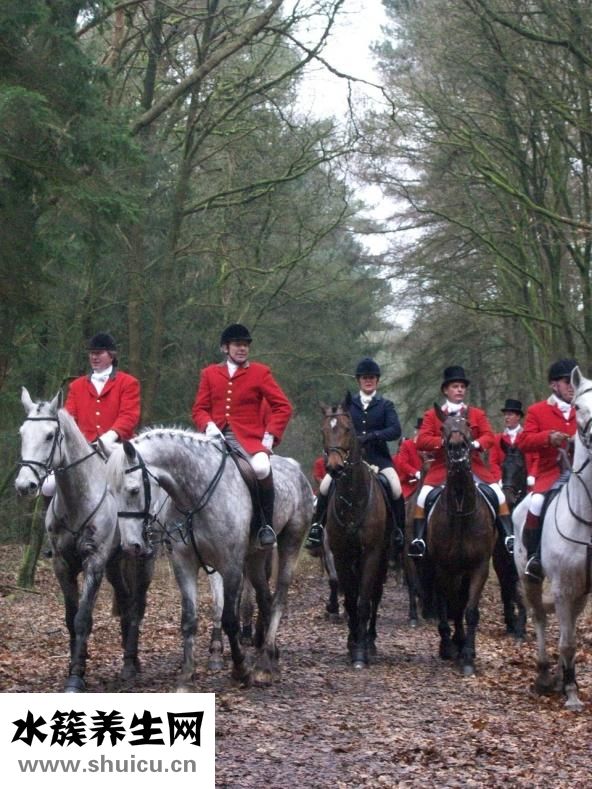 手術(shù)后能吃海鮮嗎