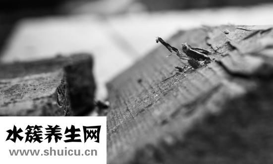 孕婦能吃酸奶嗎