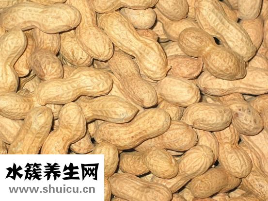 失眠吃什么食物