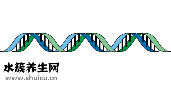 先天性肌營養不良