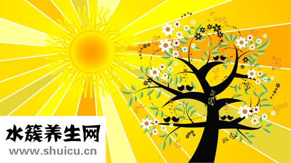 頭發(fā)打結怎么辦