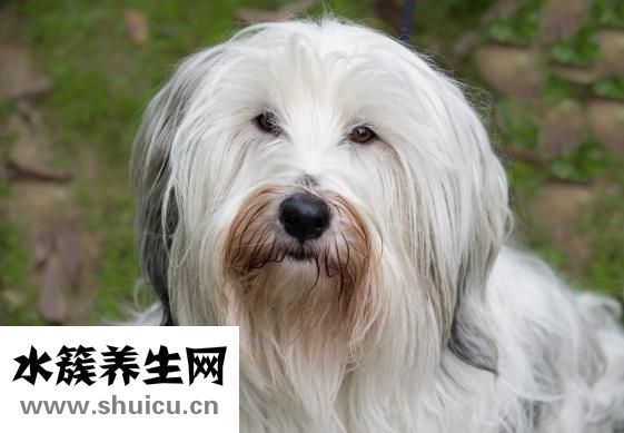 無緣無故流鼻血