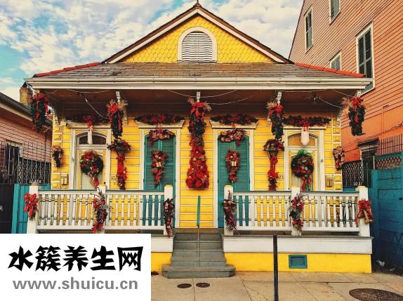 新奧爾良烤雞腿