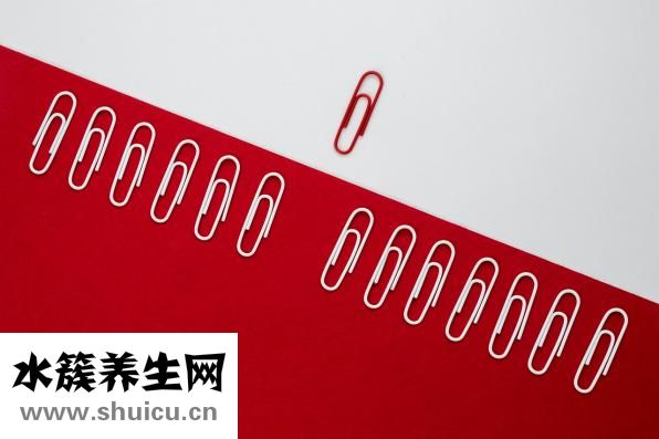 四歲身高體重標準