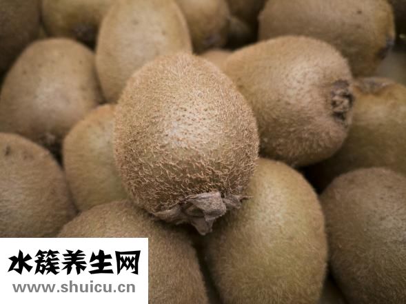 哺乳期可以吃蔥嗎