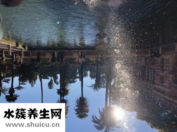 為什么會(huì)起水泡