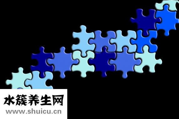 世界上最粗的腿