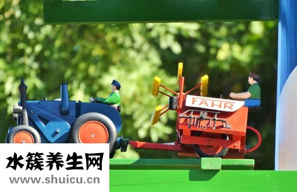 推背多久做一次好