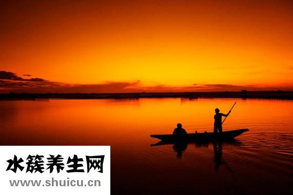 心肺復蘇黃金時間