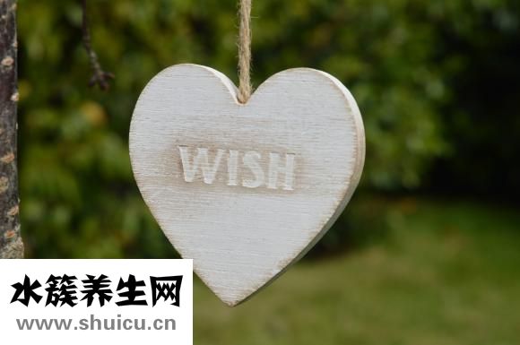 養胃喝什么茶好