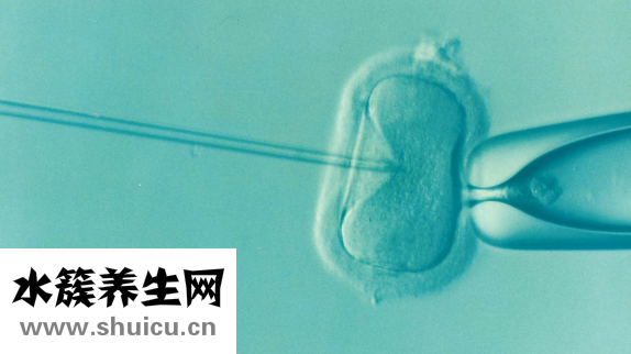 同房后多久著床