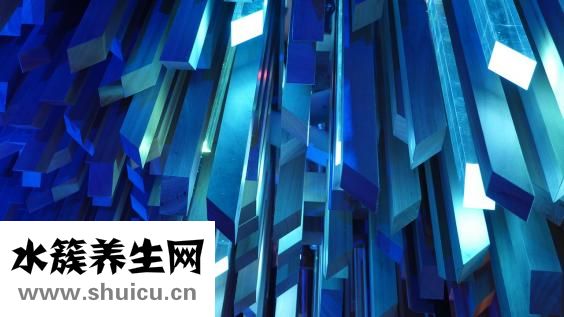 什么牛奶有助于長高