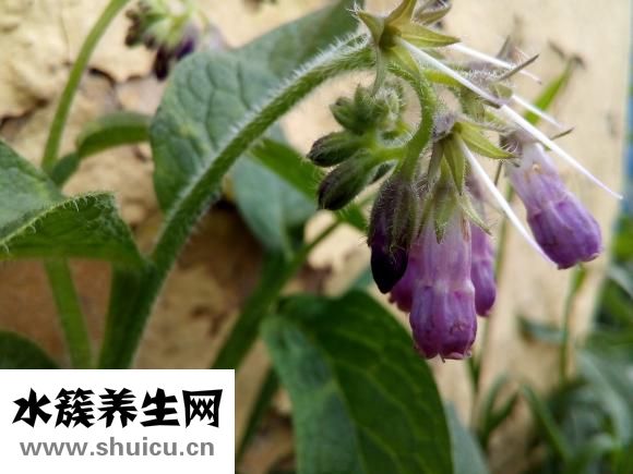 心動過速的治療方法