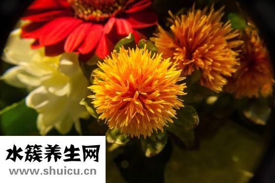 怎么確定是智齒痛