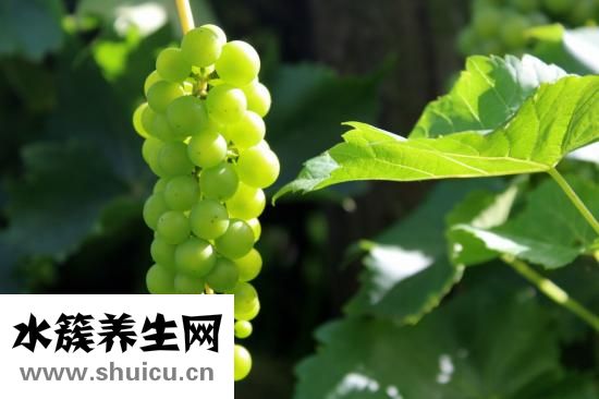 小滿是什么季節