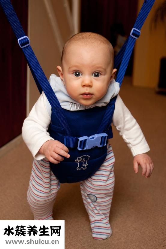 小孩能吃海參嗎