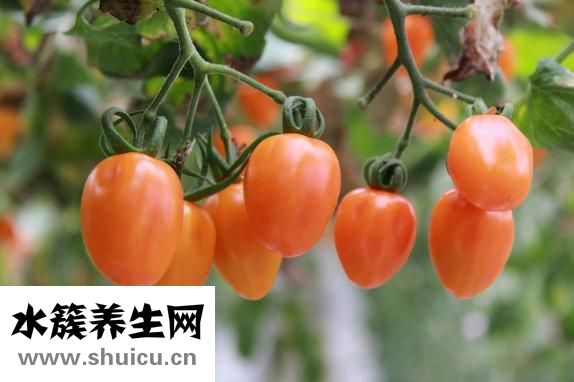 懷孕一個月注意事項