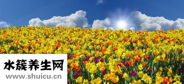 吐出黃水苦水嚴(yán)重嗎