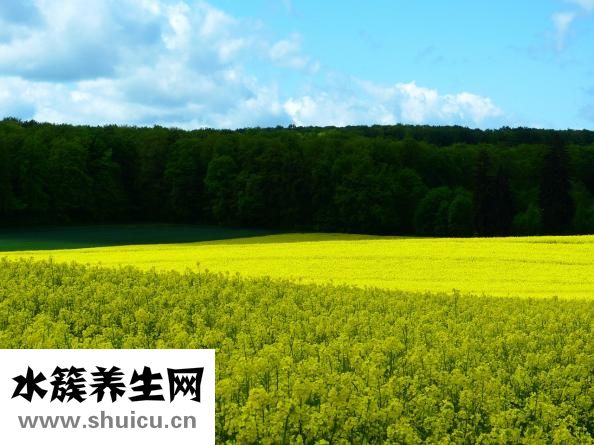 圍絕經(jīng)期癥狀